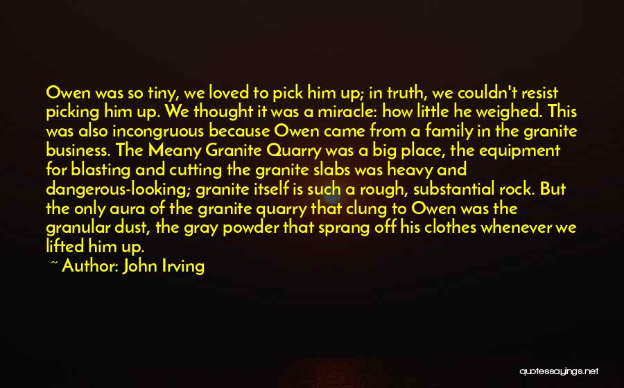 Cutting Off Family Quotes By John Irving