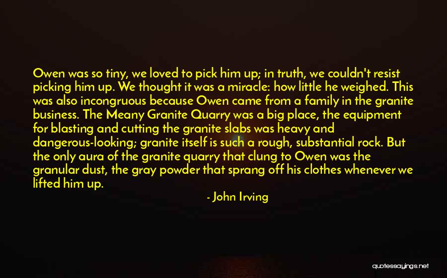 Cutting Off Family Quotes By John Irving