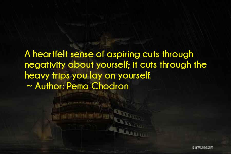 Cutting Out Negativity Quotes By Pema Chodron