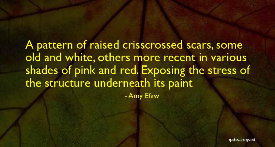 Cutting Scars Quotes By Amy Efaw Cutting Scars Quotes By Amy Efaw