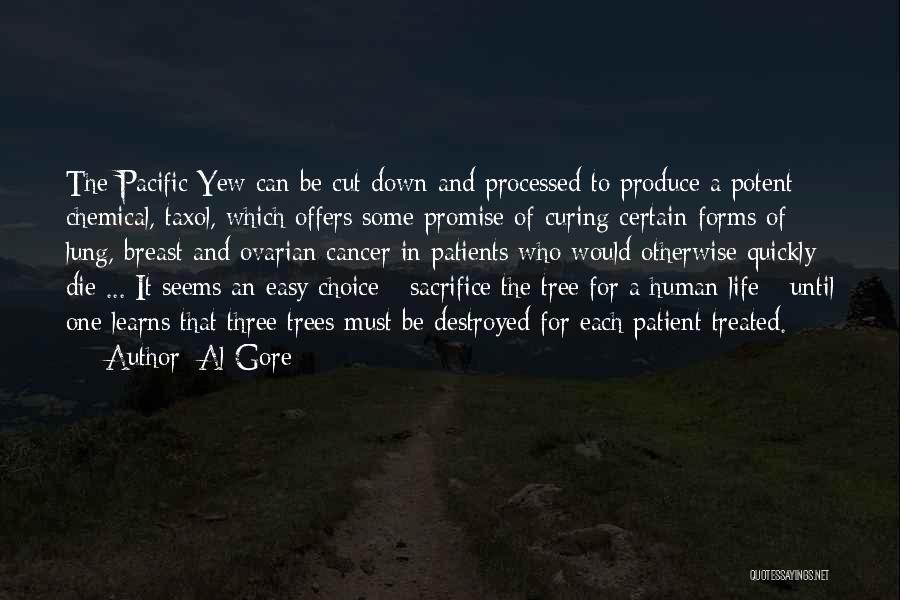 Cutting Trees Quotes By Al Gore