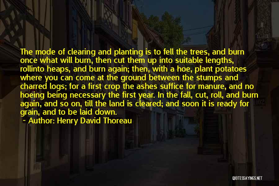 Cutting Trees Quotes By Henry David Thoreau