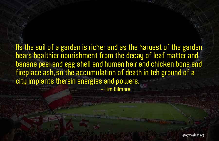 Cuuk Airport Quotes By Tim Gilmore Cuuk Airport Quotes By Tim Gilmore