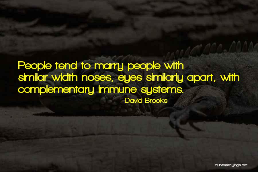 Cuvaison Quotes By David Brooks Cuvaison Quotes By David Brooks