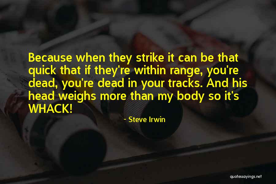 Cuveliers Quotes By Steve Irwin Cuveliers Quotes By Steve Irwin