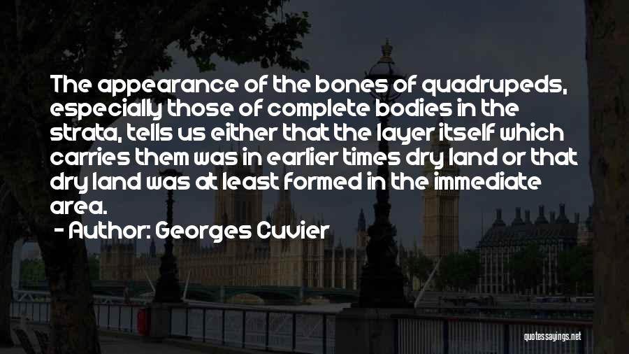 Cuvier Quotes By Georges Cuvier