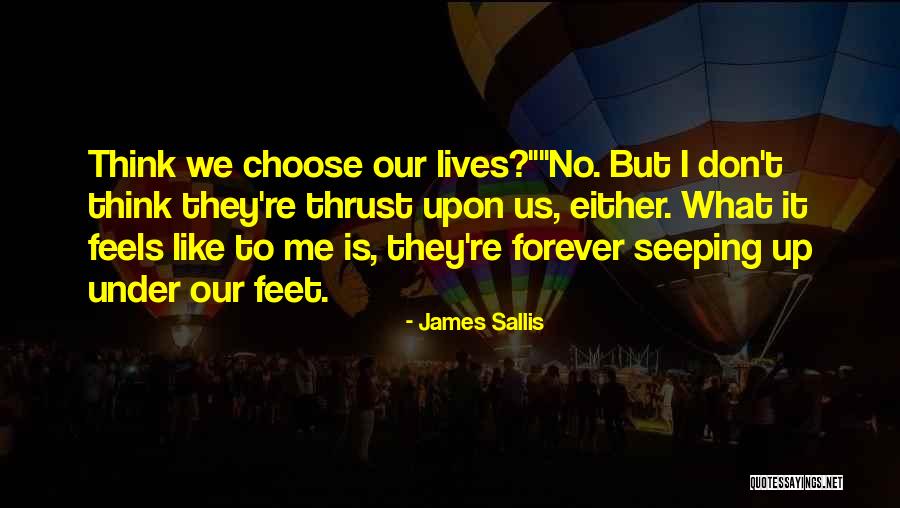 Cvejanovic Quotes By James Sallis Cvejanovic Quotes By James Sallis