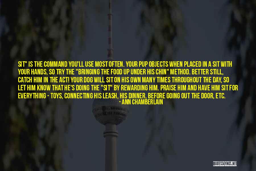 Cvitanovich Gerald Quotes By Ann Chamberlain Cvitanovich Gerald Quotes By Ann Chamberlain