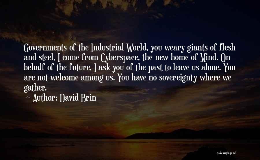 Cyberspace Quotes By David Brin