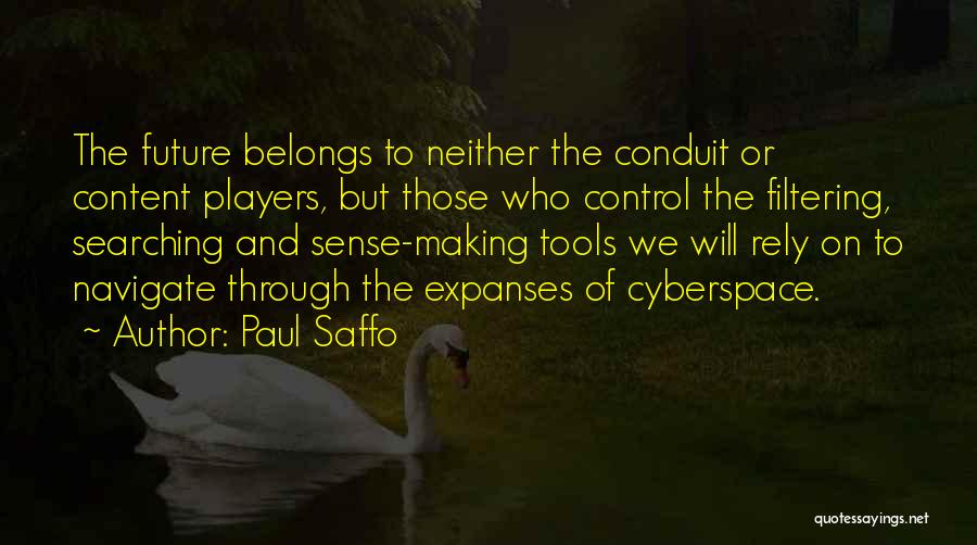 Cyberspace Quotes By Paul Saffo