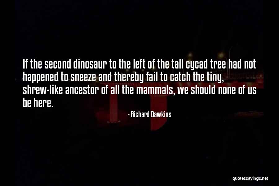 Cycad Quotes By Richard Dawkins Cycad Quotes By Richard Dawkins