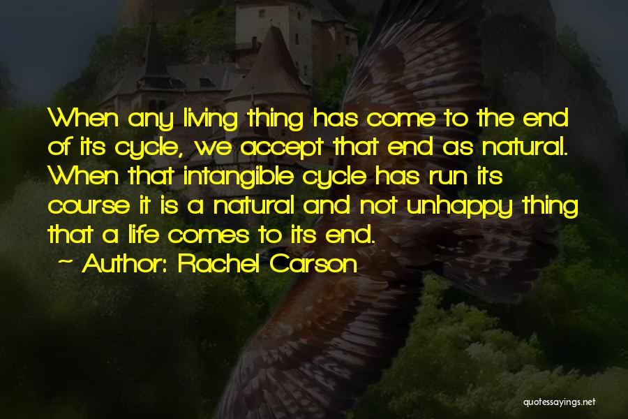 Cycle Of Life And Death Quotes By Rachel Carson