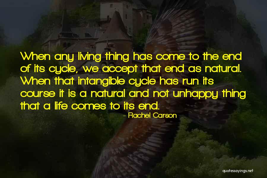 Cycle Of Life And Death Quotes By Rachel Carson