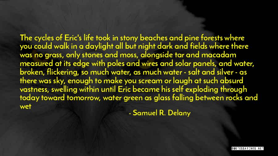 Cycles In Life Quotes By Samuel R. Delany Cycles In Life Quotes By Samuel R. Delany
