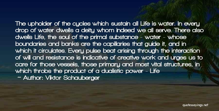 Cycles Of Life Quotes By Viktor Schauberger