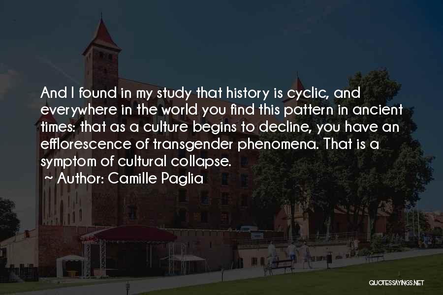 Cyclic History Quotes By Camille Paglia