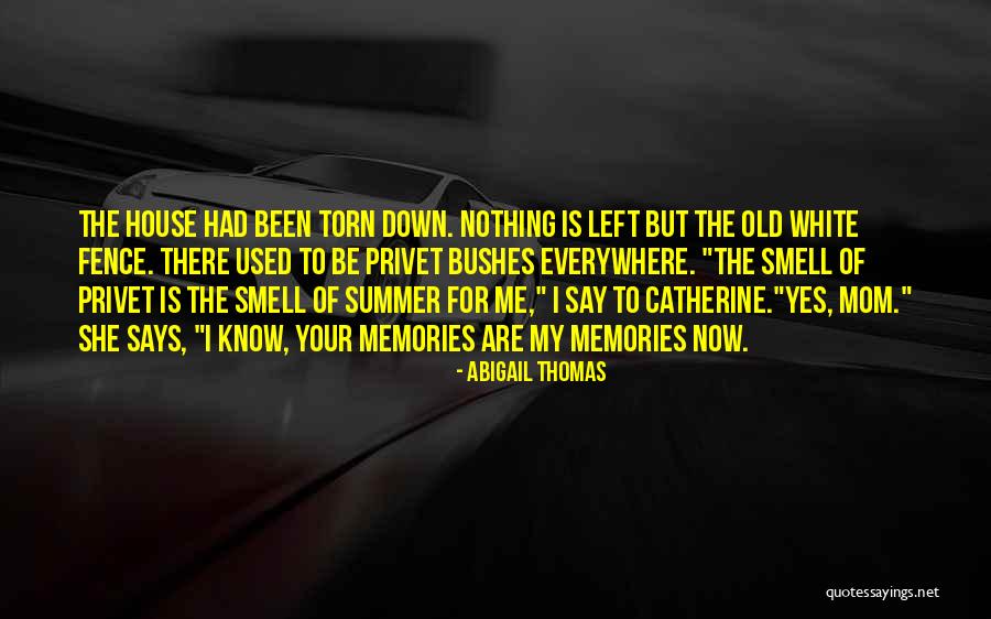 Cyclone Fencing Quotes By Abigail Thomas Cyclone Fencing Quotes By Abigail Thomas
