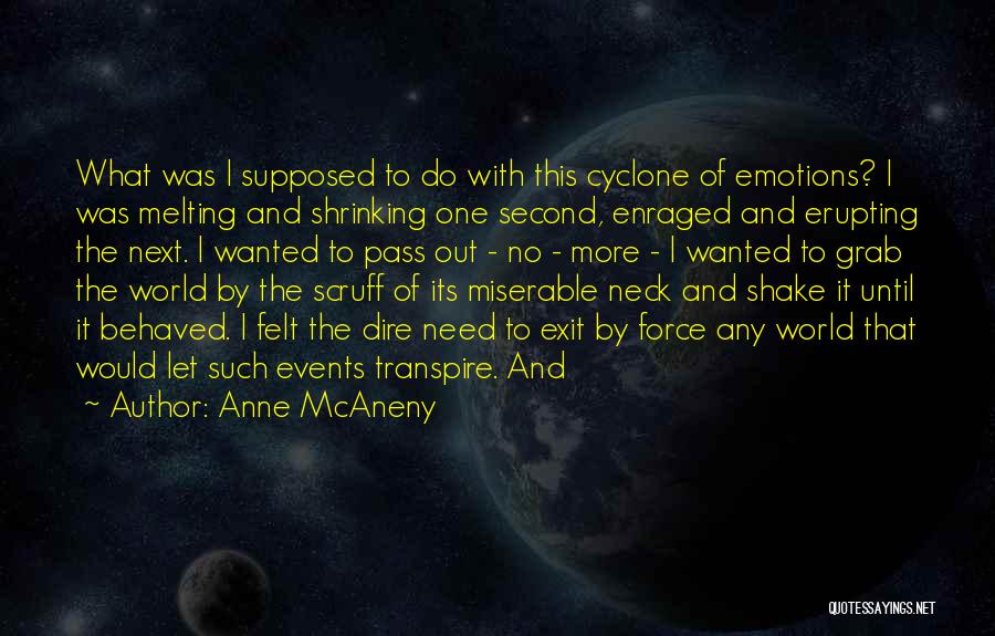 Cyclone Quotes By Anne McAneny