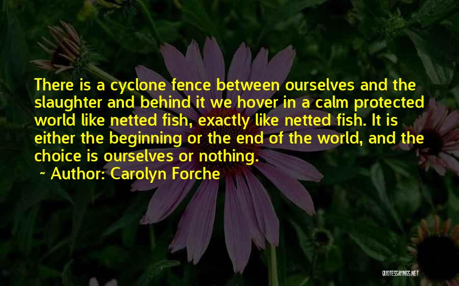 Cyclone Quotes By Carolyn Forche