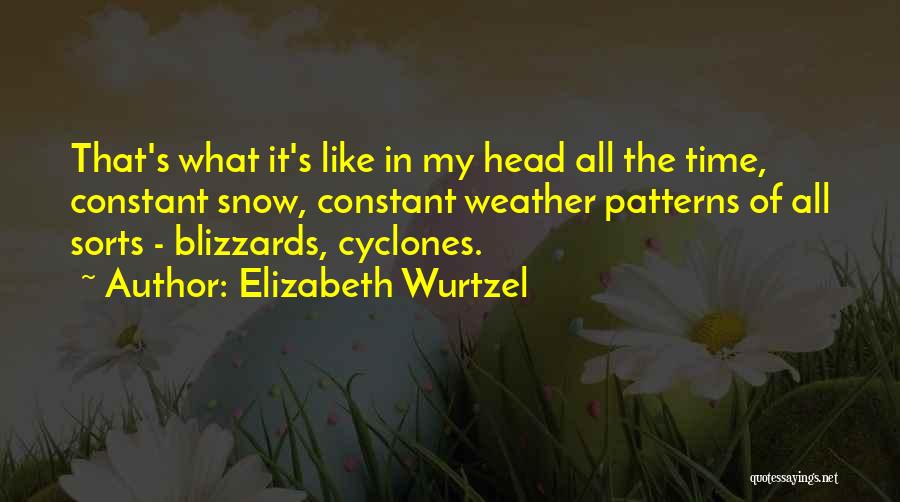 Cyclones Quotes By Elizabeth Wurtzel