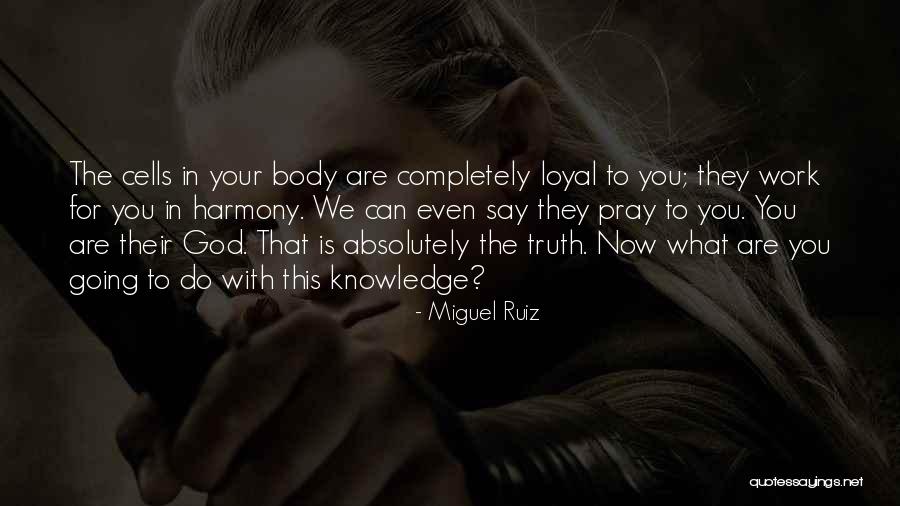 Cyclops Greek Quotes By Miguel Ruiz Cyclops Greek Quotes By Miguel Ruiz