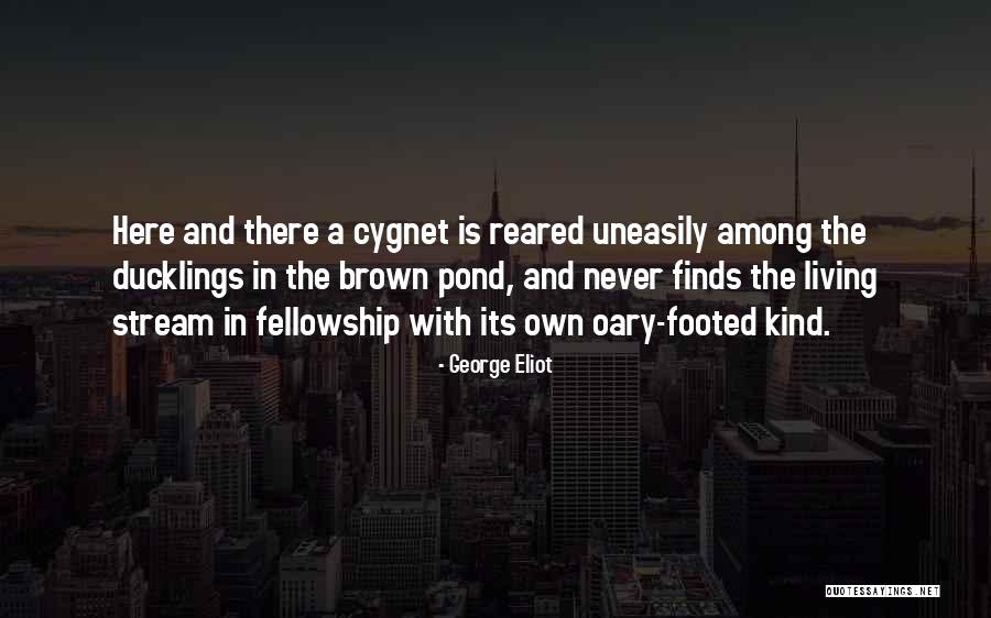 Cygnet Quotes By George Eliot Cygnet Quotes By George Eliot