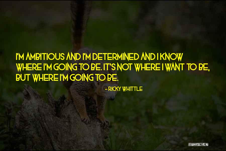 Cymbal Player Quotes By Ricky Whittle Cymbal Player Quotes By Ricky Whittle
