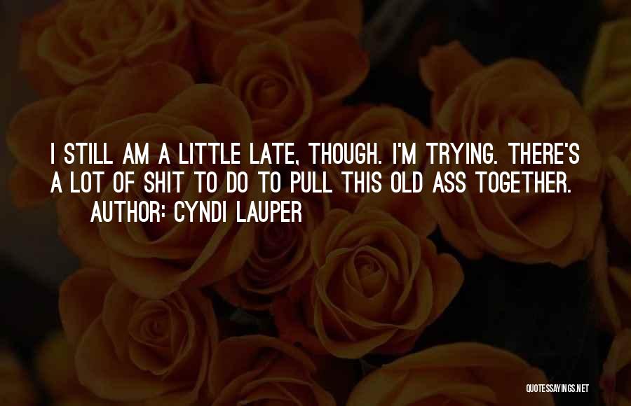 Cyndi Lauper Quotes 1742729