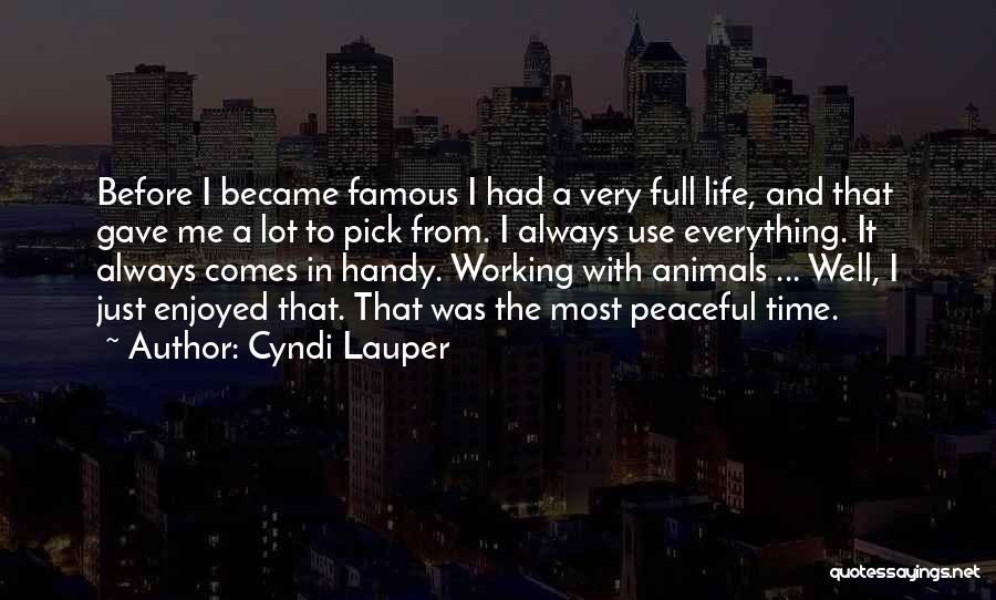 Cyndi Lauper Quotes 907635