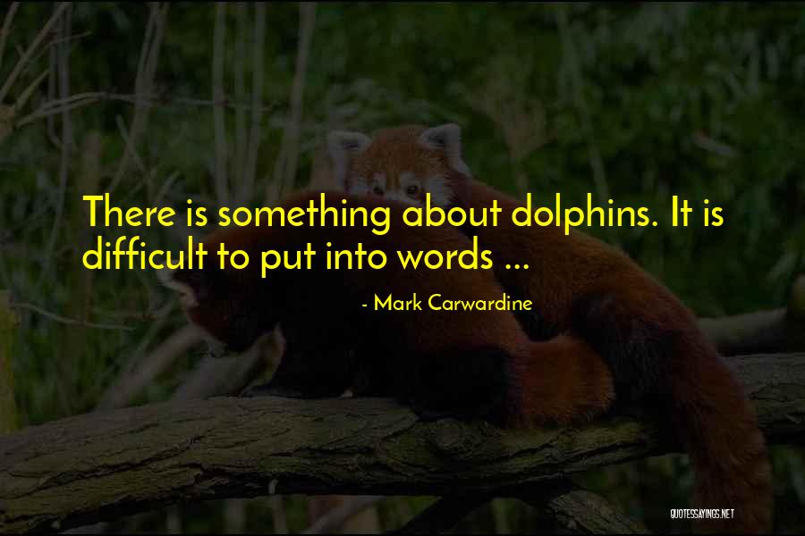 Cyndie Koopsen Quotes By Mark Carwardine Cyndie Koopsen Quotes By Mark Carwardine