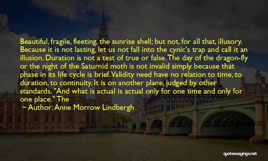 Cynic Quotes By Anne Morrow Lindbergh