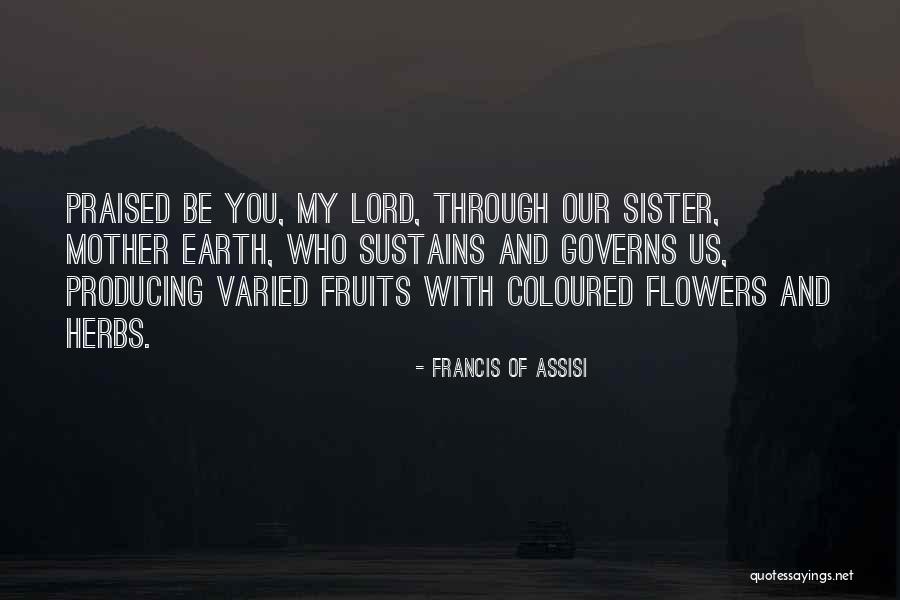 Cynicism Vs Disagreement Quotes By Francis Of Assisi Cynicism Vs Disagreement Quotes By Francis Of Assisi