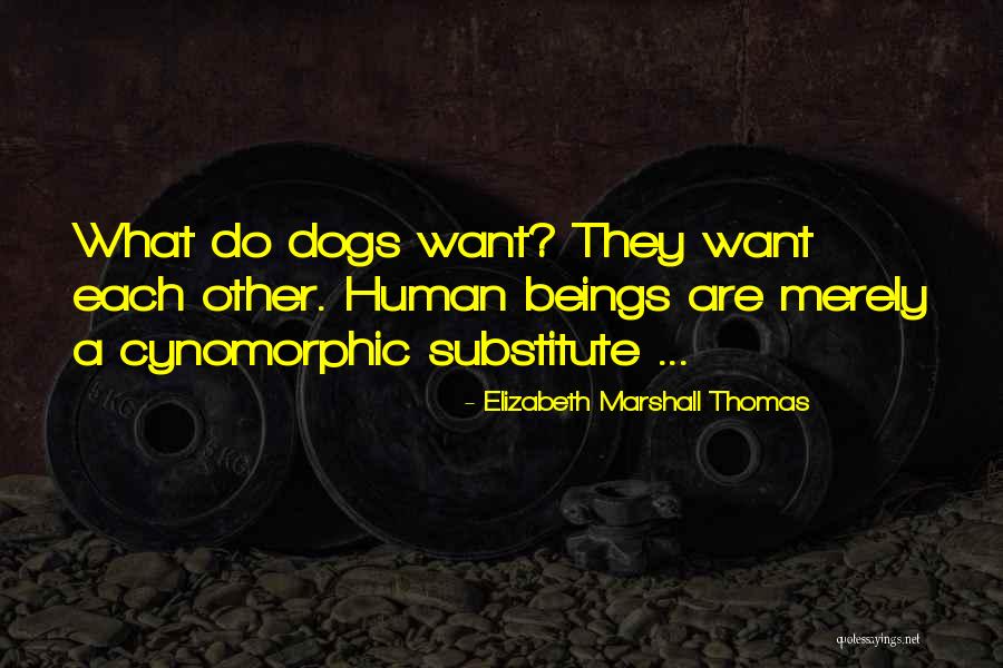 Cynomorphic Quotes By Elizabeth Marshall Thomas Cynomorphic Quotes By Elizabeth Marshall Thomas