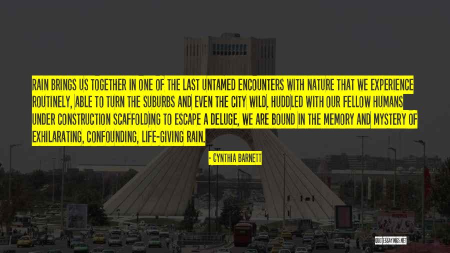 Cynthia Barnett Quotes 1070077 Cynthia Barnett Quotes 1070077