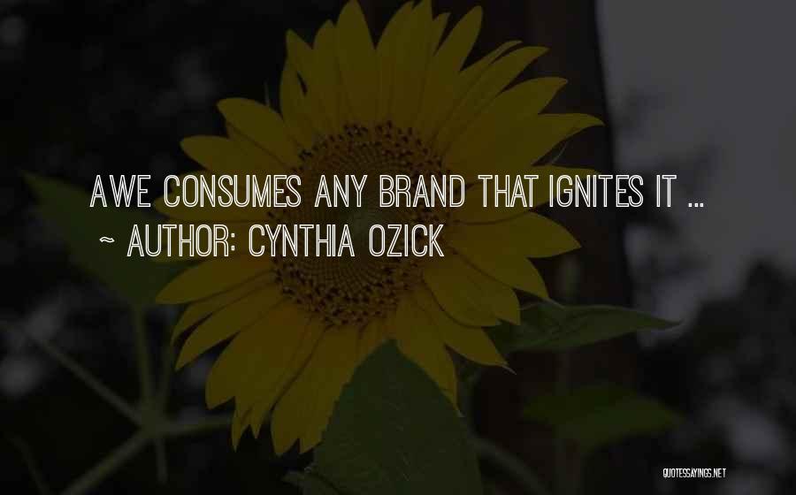 Cynthia Ozick Quotes 1045367