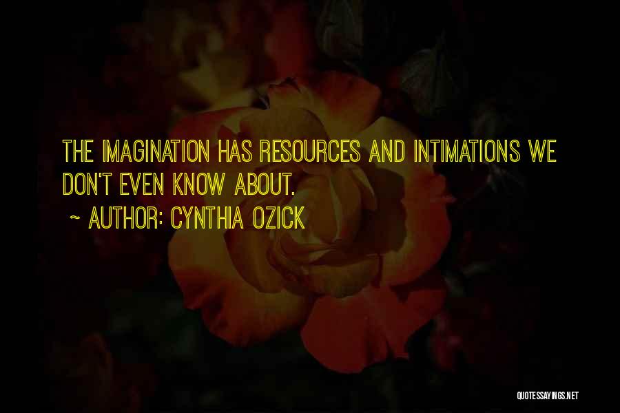 Cynthia Ozick Quotes 1122084