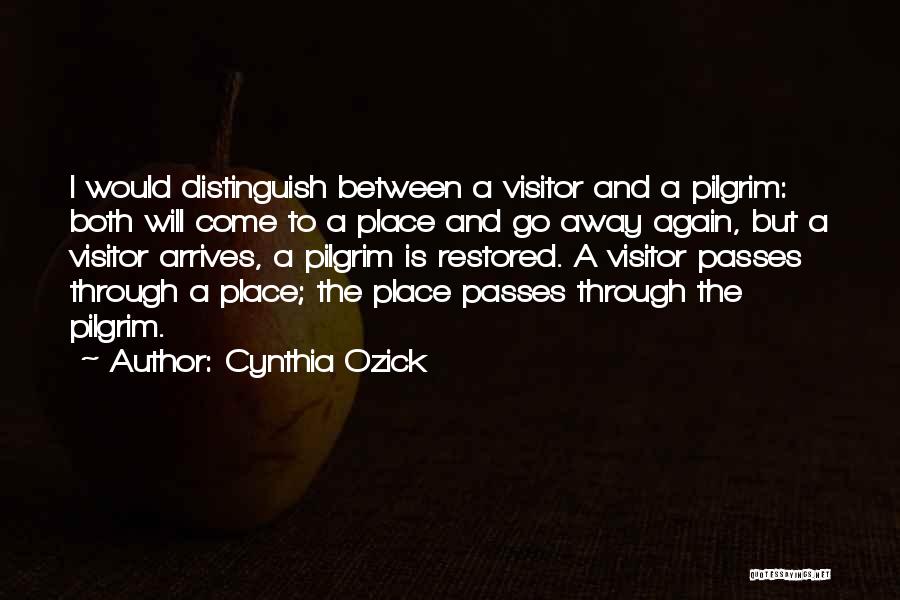 Cynthia Ozick Quotes 228093