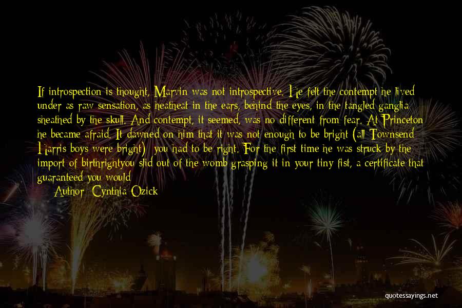 Cynthia Ozick Quotes 732660