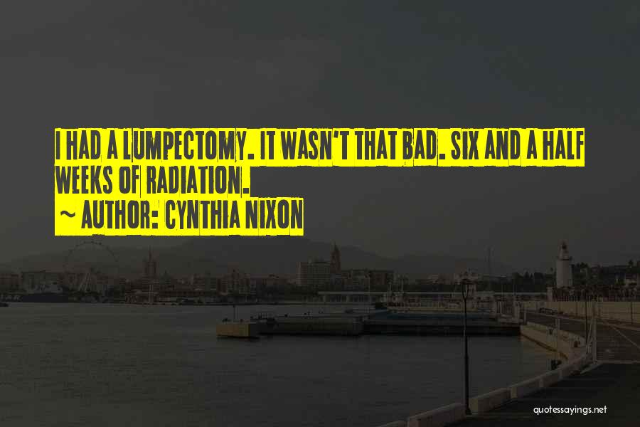 Cynthia Quotes By Cynthia Nixon