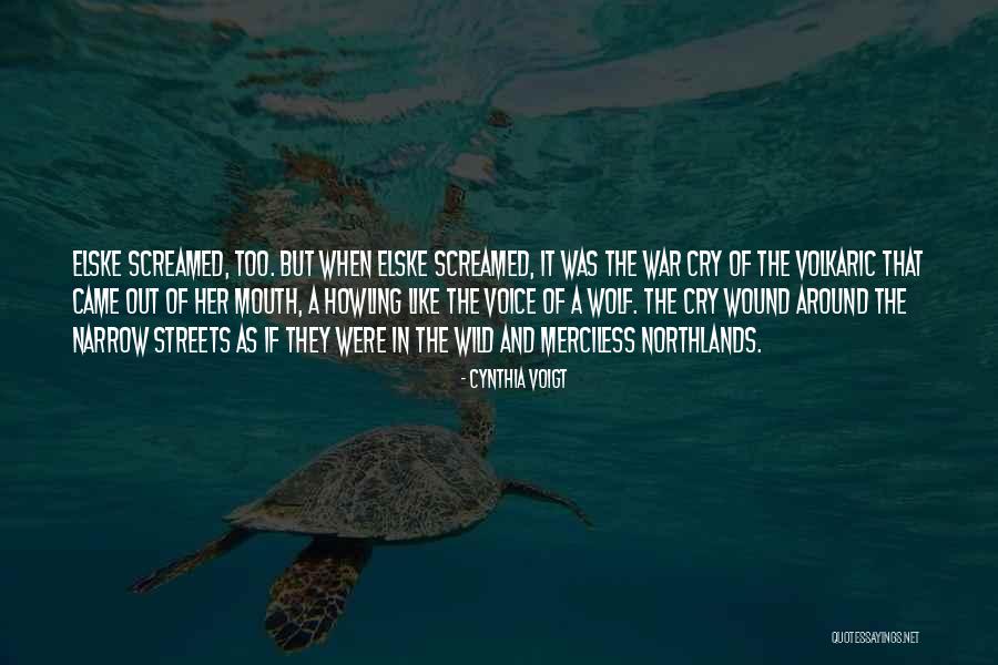 Cynthia Voigt Quotes 1208126 Cynthia Voigt Quotes 1208126