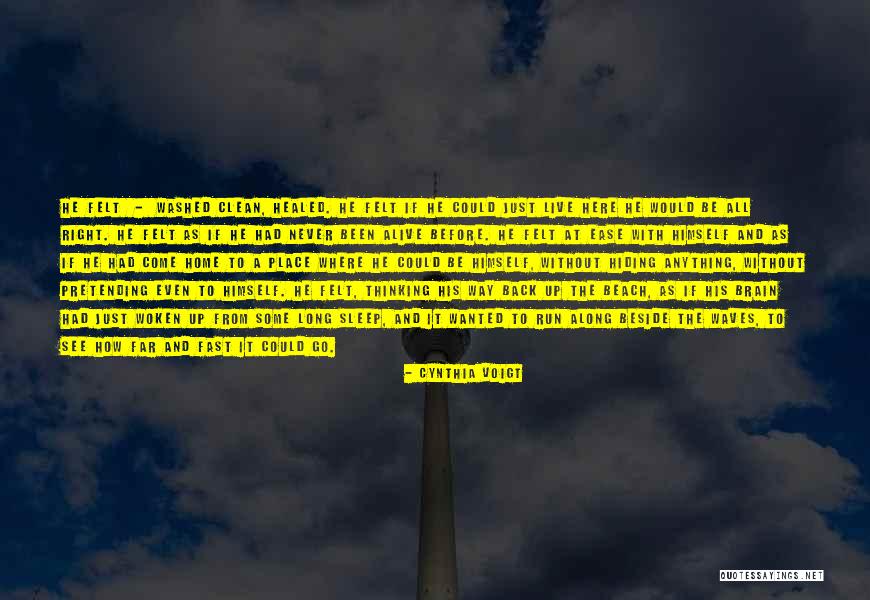 Cynthia Voigt Quotes 1232769 Cynthia Voigt Quotes 1232769