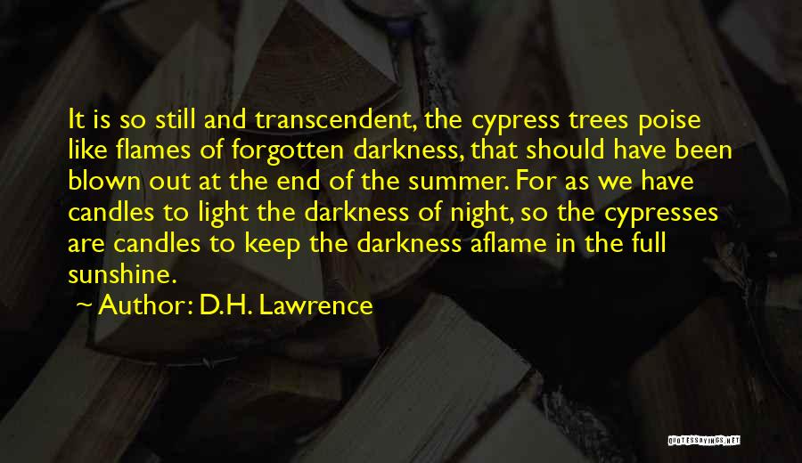 Cypress Trees Quotes By D.H. Lawrence