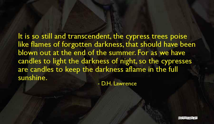 Cypress Trees Quotes By D.H. Lawrence