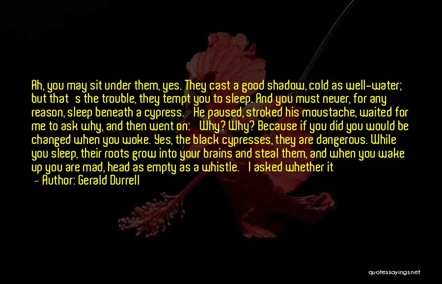Cypress Trees Quotes By Gerald Durrell