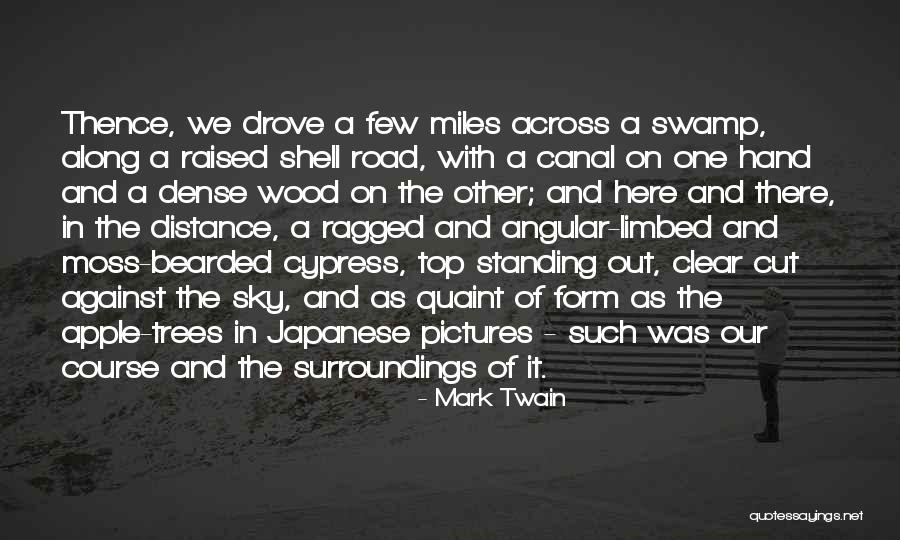 Cypress Trees Quotes By Mark Twain