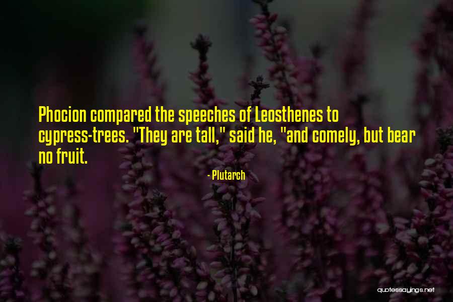 Cypress Trees Quotes By Plutarch