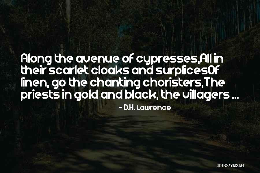 Cypresses Quotes By D.H. Lawrence Cypresses Quotes By D.H. Lawrence