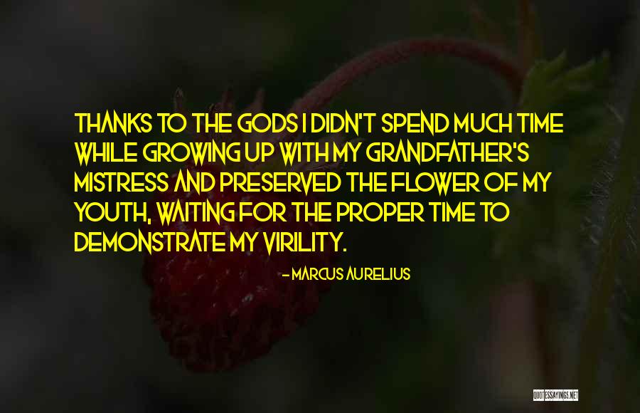 Cypresses Van Quotes By Marcus Aurelius Cypresses Van Quotes By Marcus Aurelius