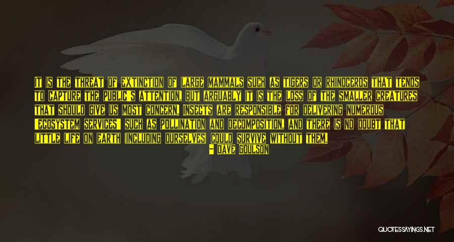 Cyrillo Araujo Quotes By Dave Goulson Cyrillo Araujo Quotes By Dave Goulson