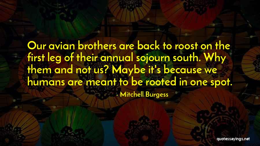 Czaplinski Domator Quotes By Mitchell Burgess Czaplinski Domator Quotes By Mitchell Burgess